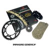 Kit Catena DUCATI950 Hypermotard 19 per DUCATI 950 Hypermotard 19 Corone JT