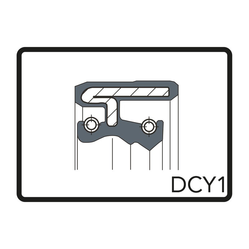 Kit Paraoli 37x47x11 DCY1 per BMW R1200GS 00 12-18 e altri modelli Paraoli ARIETE