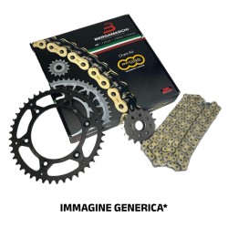 Kit Catena KTM150 Sx Motocross 13-17 per KTM 150 Sx Motocross 13-17 Corone JT