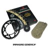 Kit Catena SUZUKIGSF650 K7,K8,K9 Bandit 07-09 per SUZUKI Gsf650 K7 nd e altri modelli Corone JT