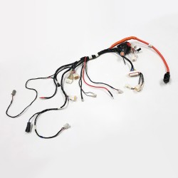 Main Wiring for SUPER SOCO TC nd Super Soco SUPER SOCO