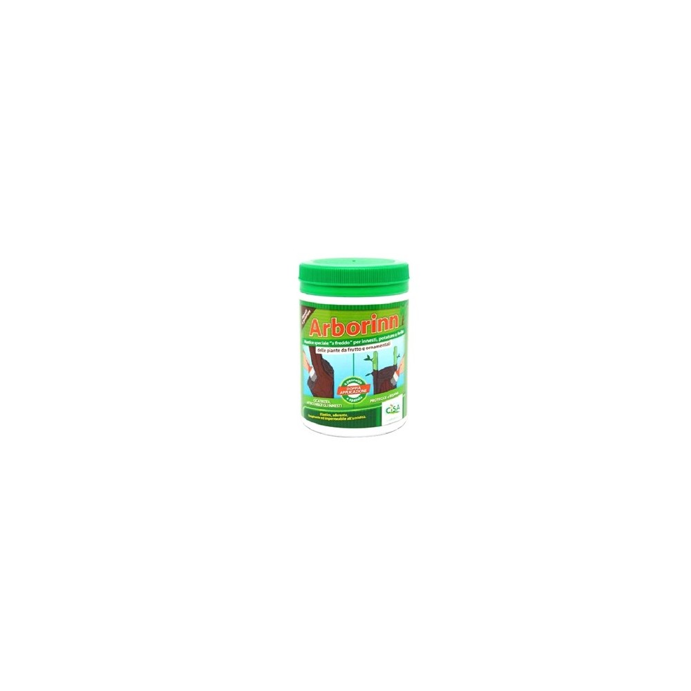 MASTICE INNESTI ARBORINN 250 gr