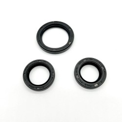 Oil Seal Kit for PIAGGIO Motori Iget 150 16- Other ARIETE