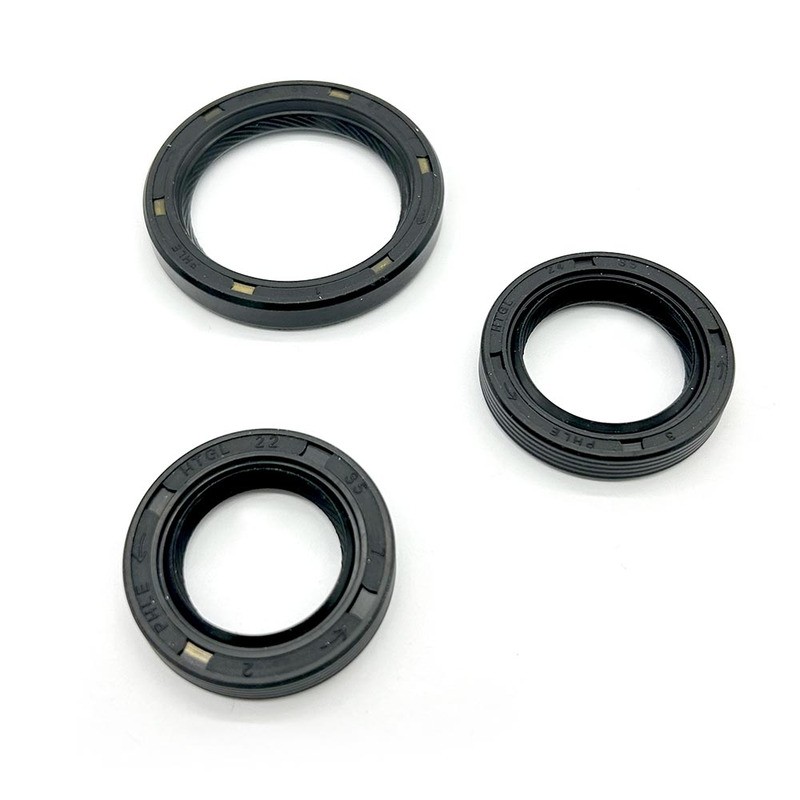 Oil Seal Kit for PIAGGIO Motori Iget 125 16- Other ARIETE