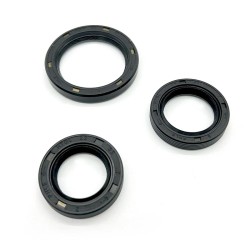 Oil Seal Kit for PIAGGIO Motori Iget 125 16- Other ARIETE