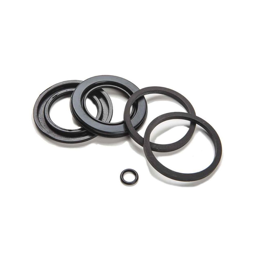 Serie Guarnizioni Pinza Bremboda 38 Mm - Bmw - 13855-PI