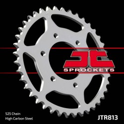 Rear Sprocket Jt 813 z39 Sprockets JT