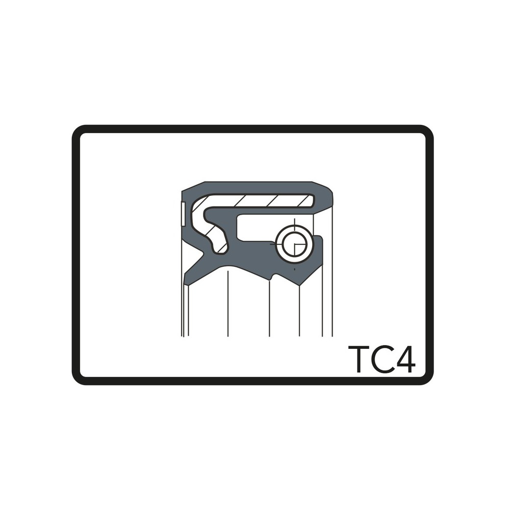 PARAOLIO TC4Y 55x41,7x8  ARIETE