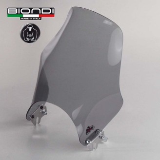 Windshield Mod.Naked Black for DUCATI Monster 600/00 01-06 and other model Other accessories BIONDI