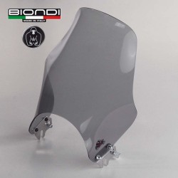 Cupolino Moto Univ Naked Fume per DUCATI Monster 600/00 01-06 e altri modelli Otros accesorios BIONDI