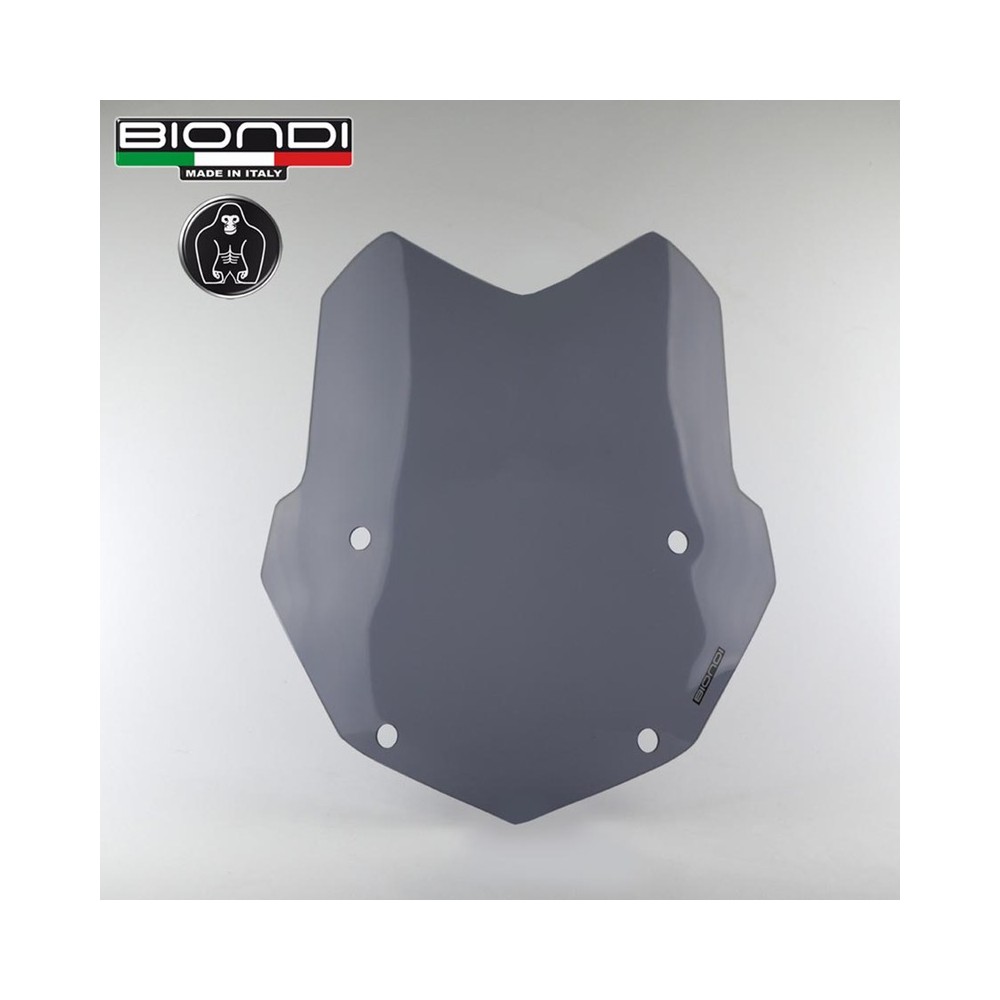 Cupolino Bmw R1250GS 19- Fume - 8010362