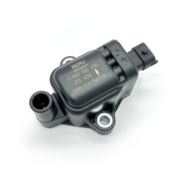 Bobina Beru Ducati PANIGALE1299 15-21 per DUCATI Panigale 99 15-21 e altri modelli Bobinas Beru