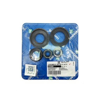 Guarn.Paraolio Mot.Aprilialeonardo/St 125 01-04 per APRILIA Leonardo /ST 125 01-04 Kit de revisión CENTAURO