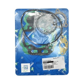 Top Gasket Kit - 411A125TP