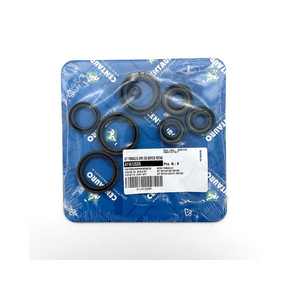 Oil Seals Kit - 411A126SR