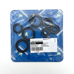 Oil Seals Kit - 411A126SR