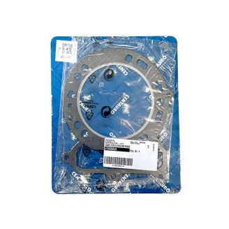 Guarn.Cop.Frizione Apriliapegaso 650 91-04 per APRILIA Pegaso 650 91-04 e altri modelli Überholungssets CENTAURO