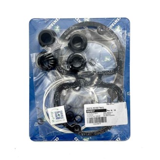 Top Gasket Kit - 498A980TP