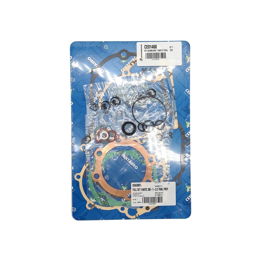 Oil Seals Kit - 593A300FL