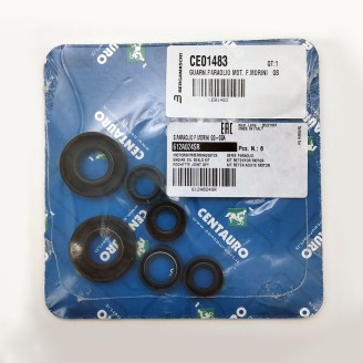 Oil Seals Kit - 612A024SR