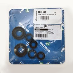 Oil Seals Kit - 612A024SR