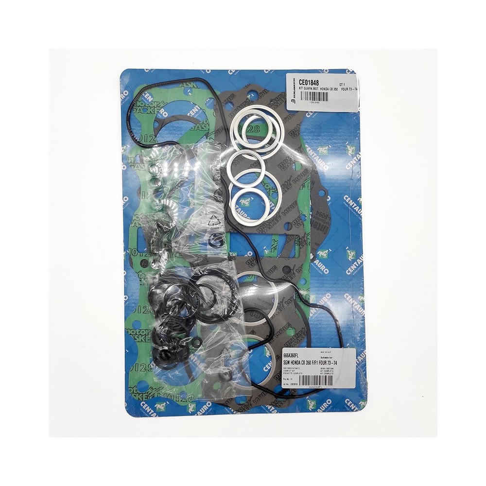 Oil Seals Kit - 666A360FL