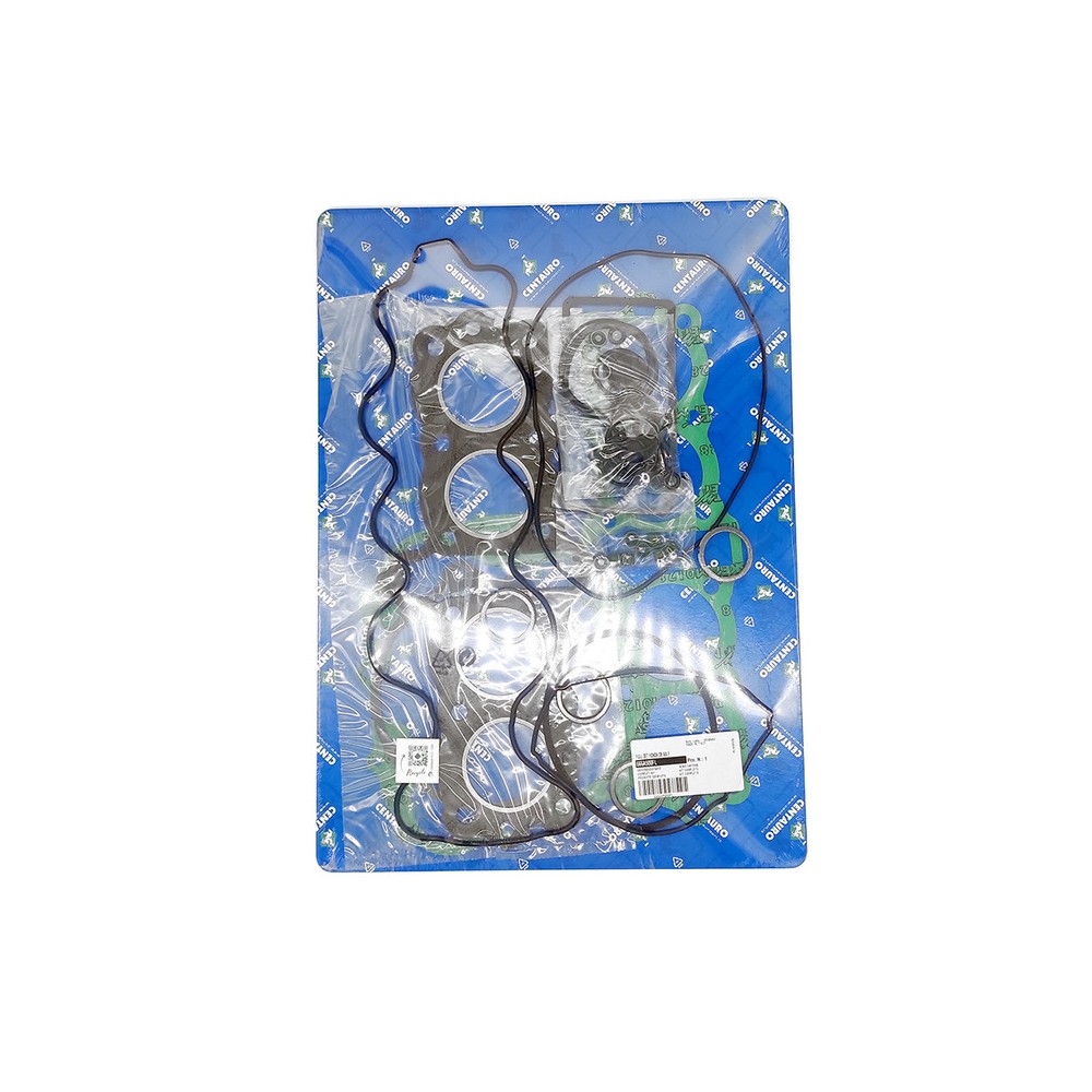 Oil Seals Kit - 666A500FL