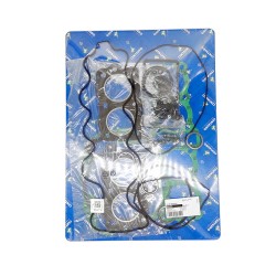 Oil Seals Kit - 666A500FL