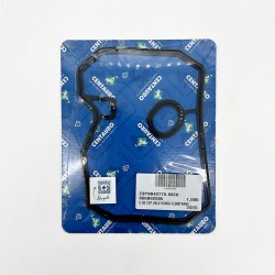 Valves Cover Gasket - 666B02005