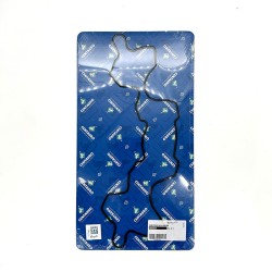 Valves Cover Gasket - 666B02024