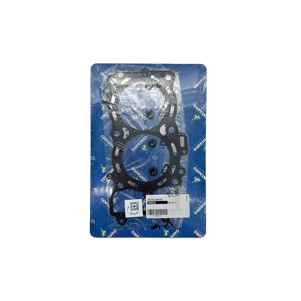 Cylinder Head Gasket - 722B03133