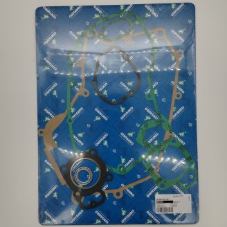 Oil Seals Kit - 807A122FL