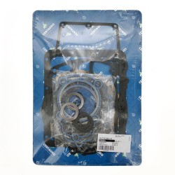 Oil Seals Kit - 819A650FL