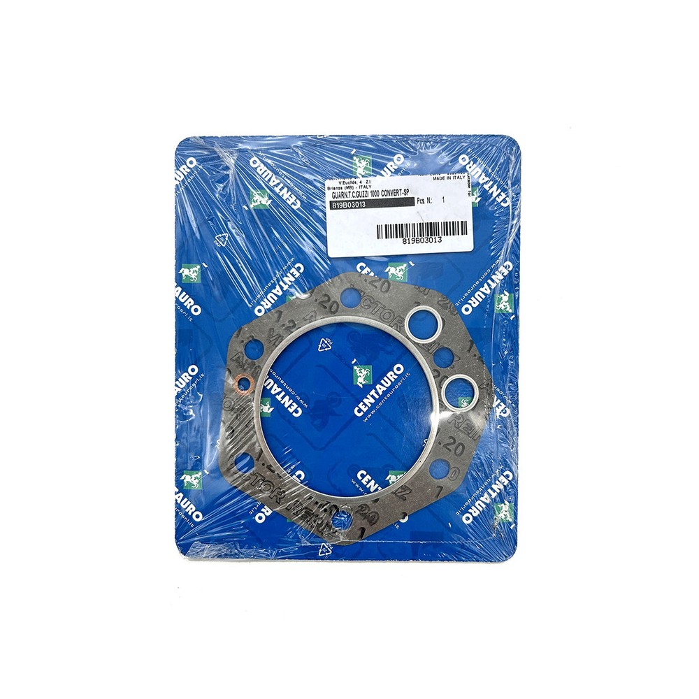 Cylinder Head Gasket - 819B03013