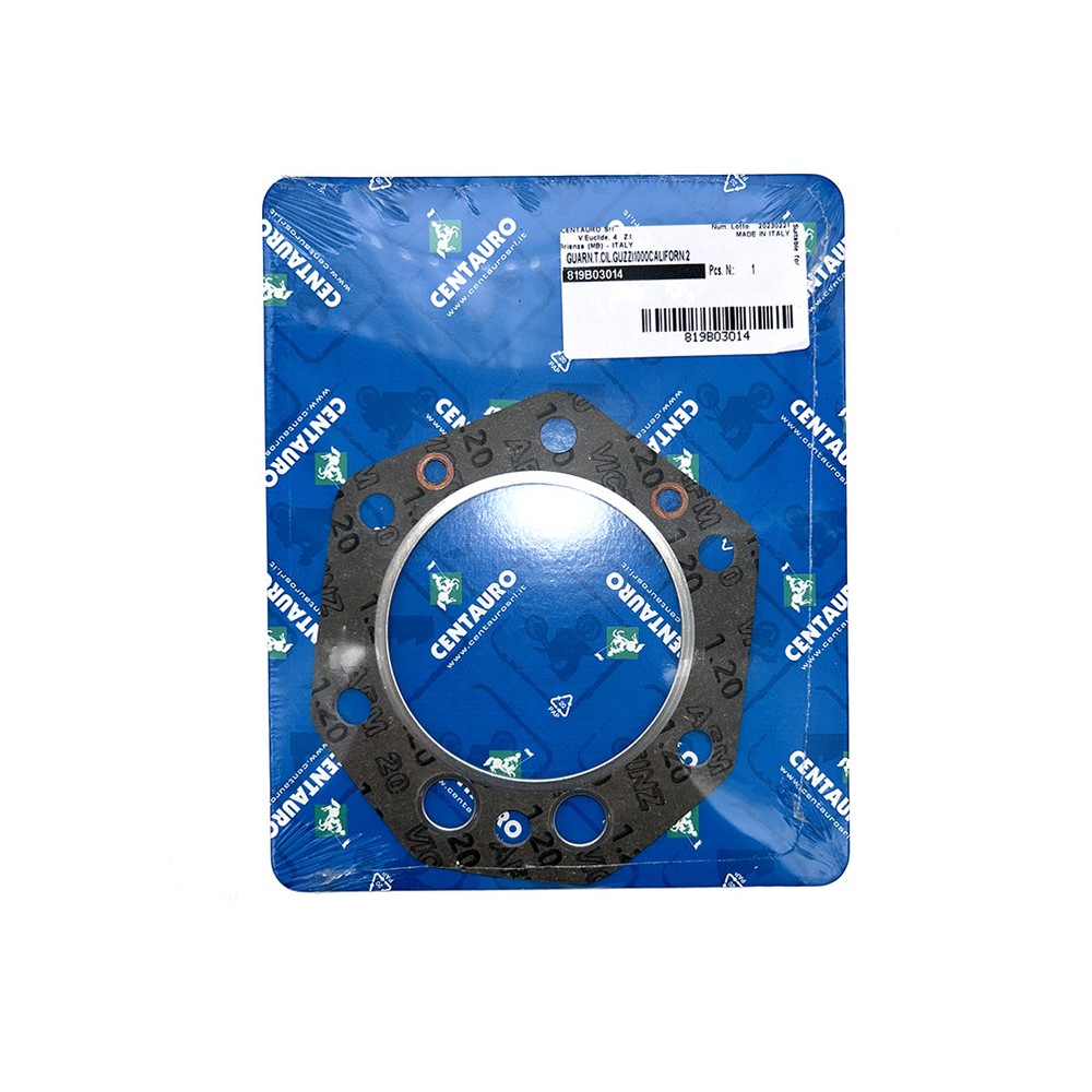 Cylinder Head Gasket - 819B03014