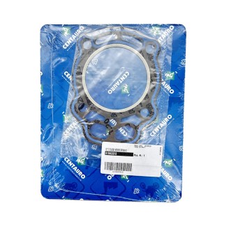 Cylinder Head Gasket - 819B03018