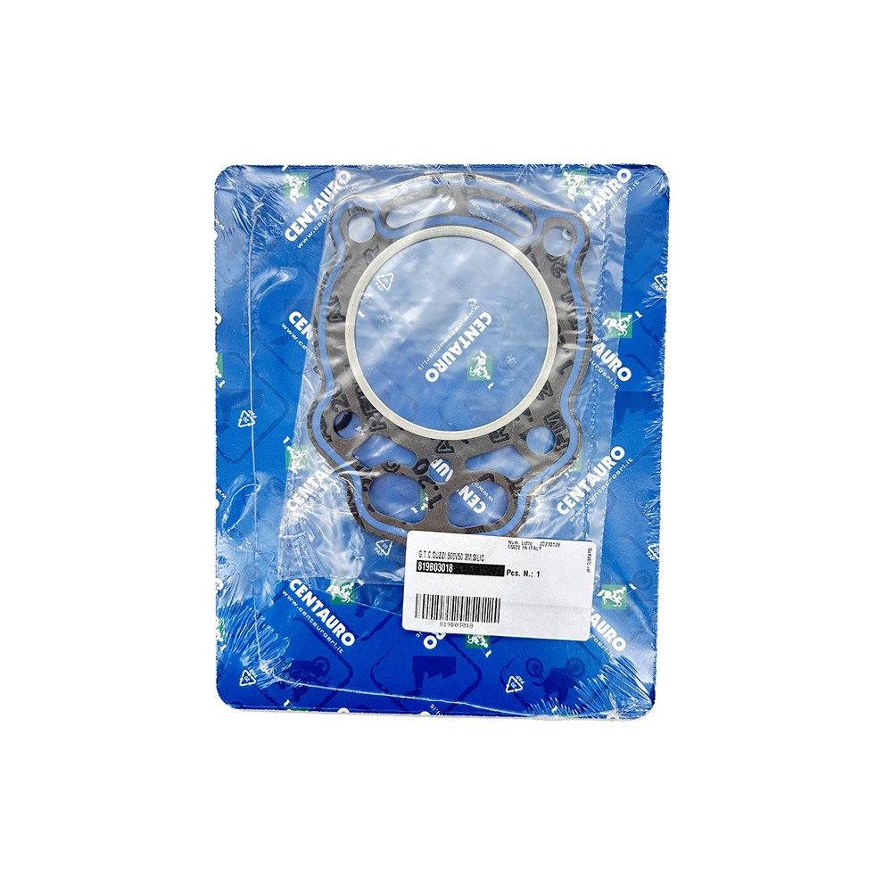 Cylinder Head Gasket - 819B03018