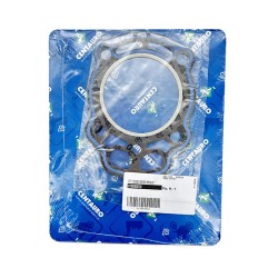 Cylinder Head Gasket - 819B03018
