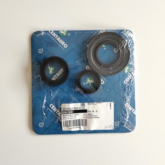 Oil Seals Kit - 880A138SR