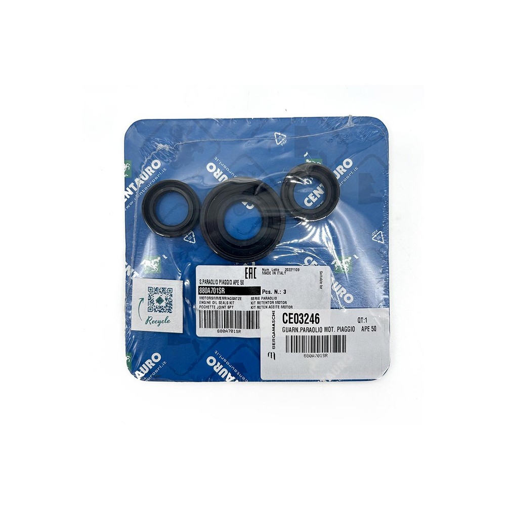 Oil Seals Kit - 880A701SR