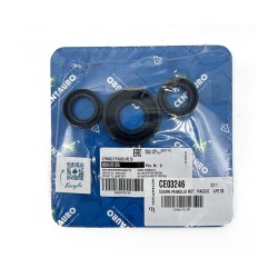 Oil Seals Kit - 880A701SR