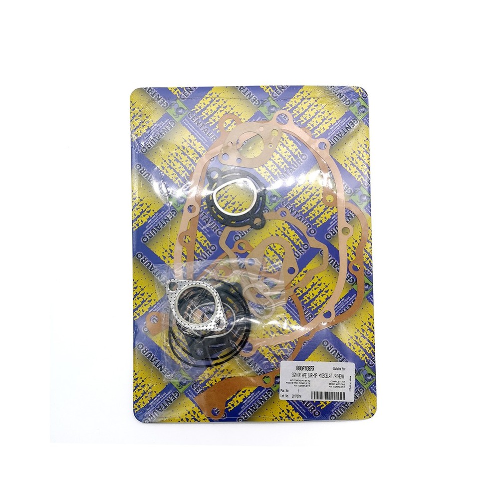 Oil Seals Kit - 880A708FR