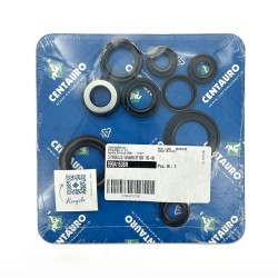 Oil Seals Kit - 990A153SR