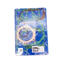 Oil Seals Kit - 990A490FL