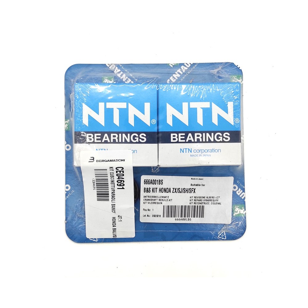 Crankshaft Gasket - 666A001BS