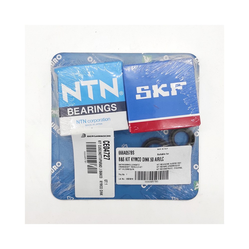 Crankshaft Gasket - 666A057BS