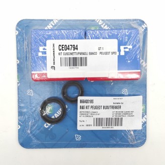 Crankshaft Gasket - 866A001BS