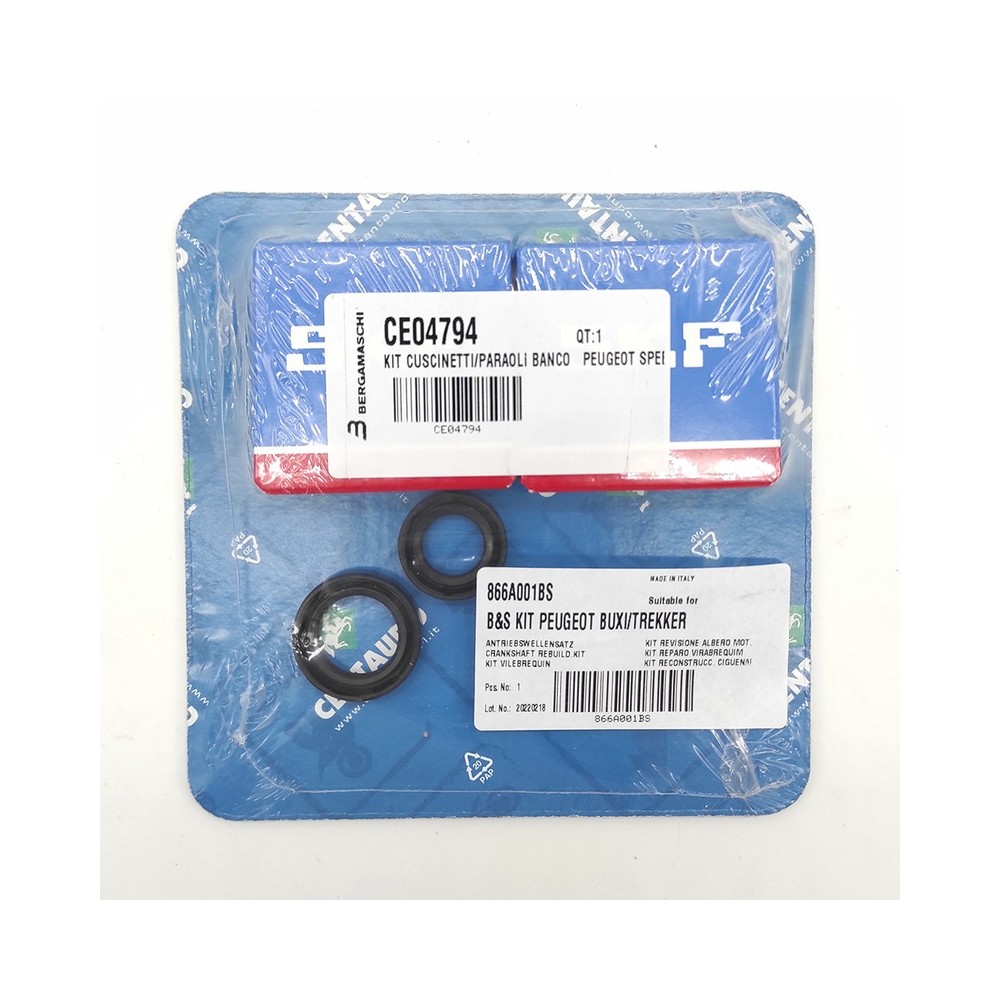 Crankshaft Gasket - 866A001BS