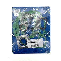 Oil Seals Kit - 866A016FL