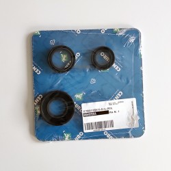 Guarn.Paraolio Mot. Piaggiovespa Pk 50 85-89 per PIAGGIO Vespa PK 50/125 84-94 Kit de revisión CENTAURO